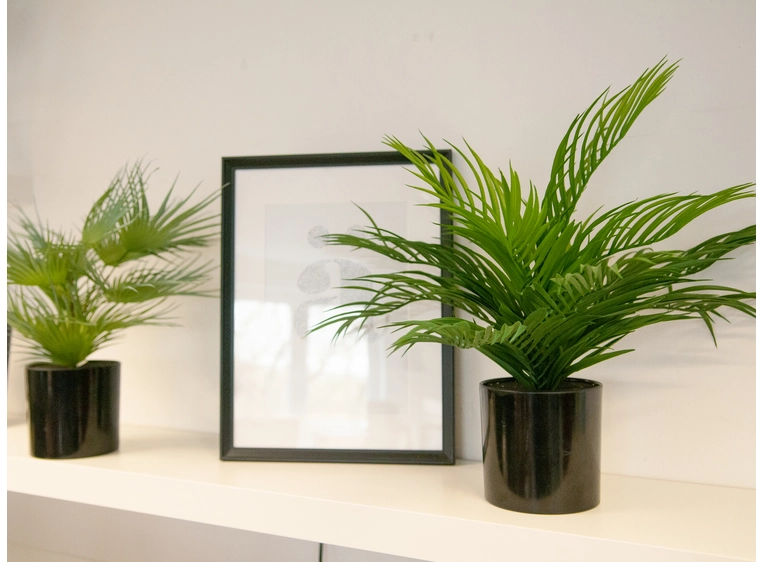 EUROPALMS Areca Palm, artificial plant 46 cm 