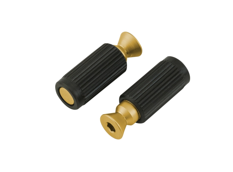 Floyd Rose Bridge Machine Studs and Inserts, Satin Gold (2 pcs) 