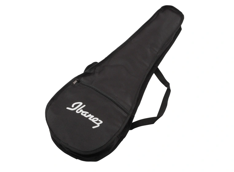 Ibanez URGT100-SUY 