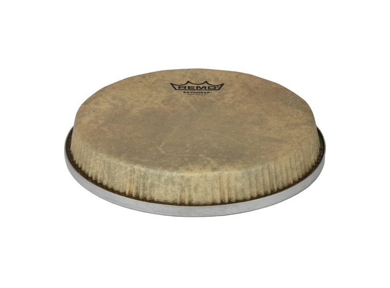 Remo M6-R880-S5-SD003 R-Series Skyndeep Bongo Calfskin Graphic, 8.80" 