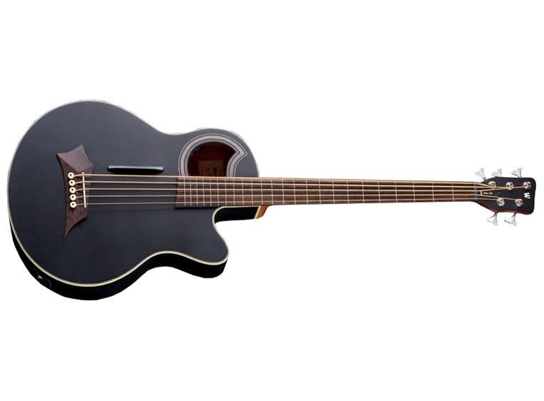 Warwick RockBass Alien Standard 5String, Fretless/Lines, SolidBlackSatin 