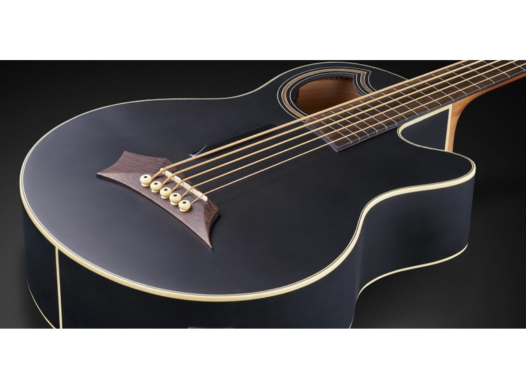 Warwick RockBass Alien Standard 5String, Fretless/Lines, SolidBlackSatin 