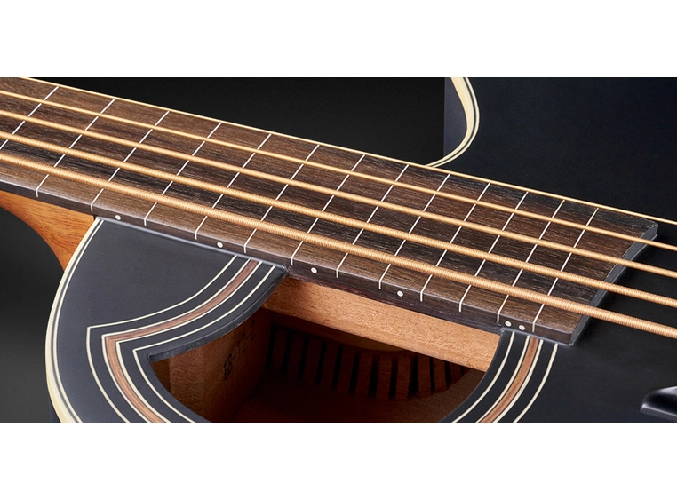 Warwick RockBass Alien Standard 5String, Fretless/Lines, SolidBlackSatin 