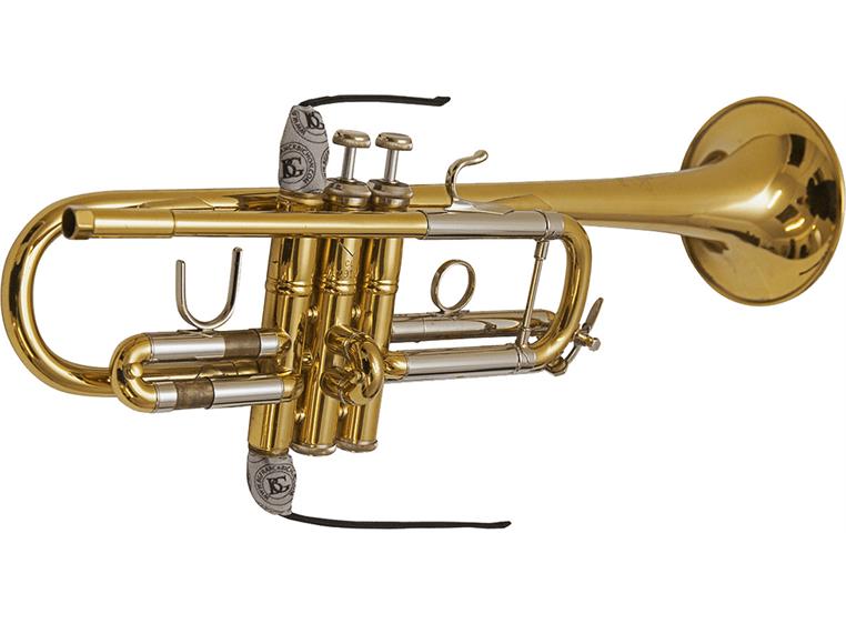 BG A31T2 Swab trumpet, valve casing swab