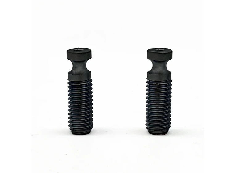 Floyd Rose FRX Bridge Mounting Stud Metric (2 pcs), Satin Black 