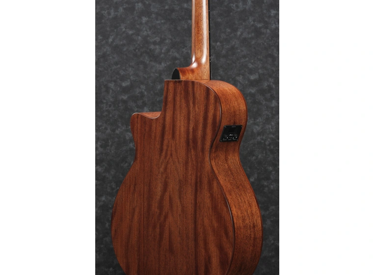 Ibanez AEG200-LGS 