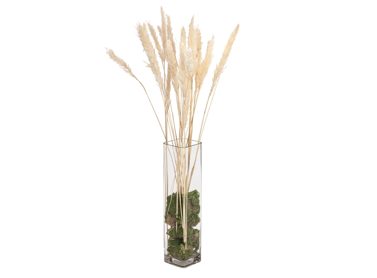 JOLIPA Pampas grass straw bunch, dried natur, 75cm 