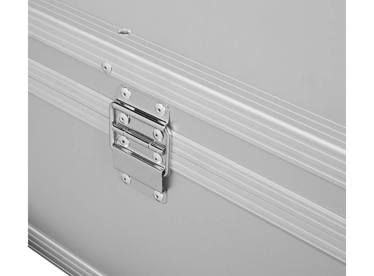 Warwick Electric Upright Bass Flight Professional Line (Triumph) 