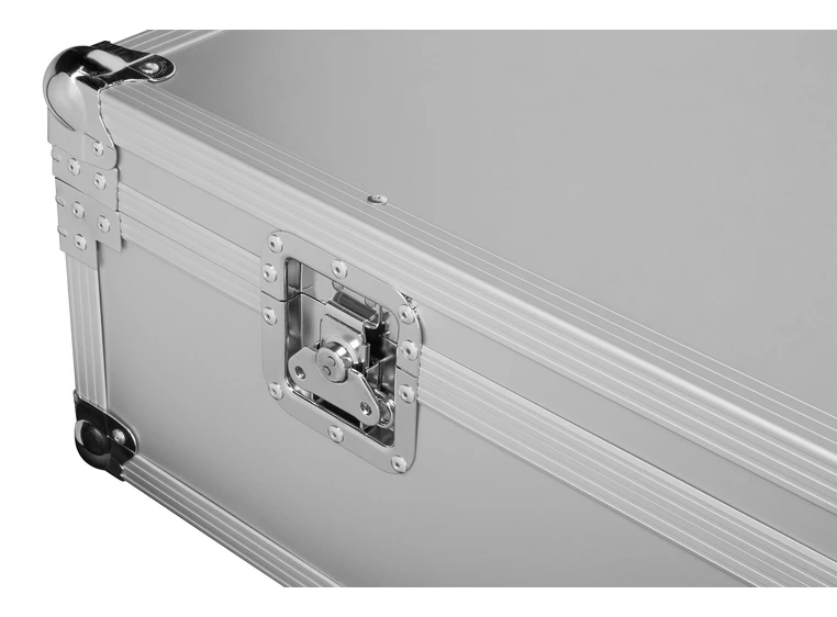 Warwick Electric Upright Bass Flight Professional Line (Triumph) 