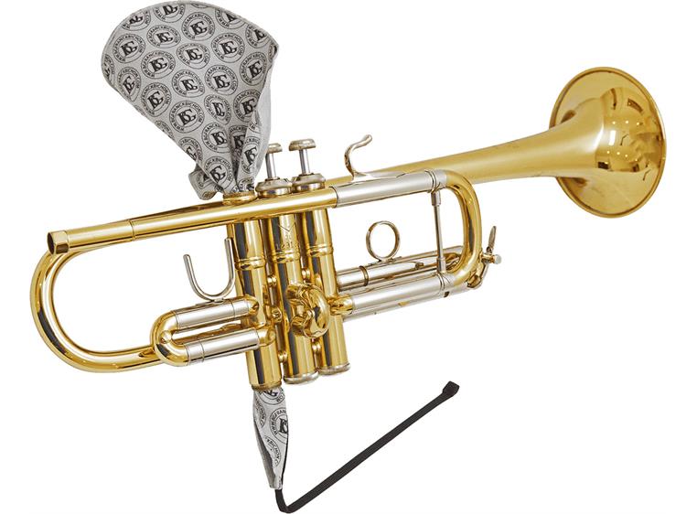 BG A31T1 Swab trumpet, valve casing swab