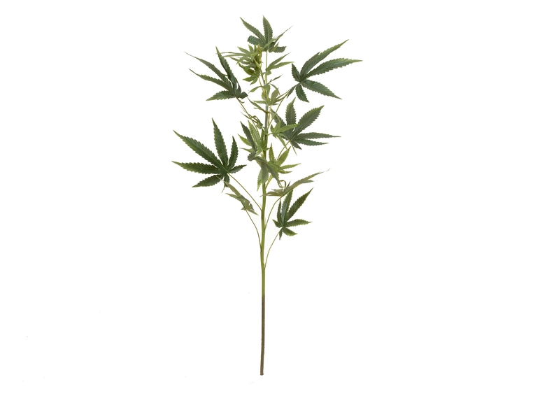 EUROPALMS Cannabis-spra, textile, 90cm 