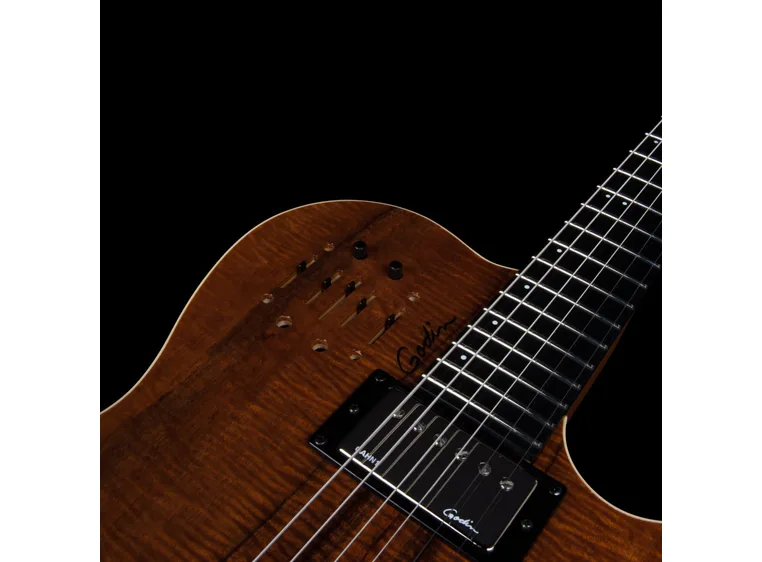 Godin A 6 ULTRA Extreme Koa HG 