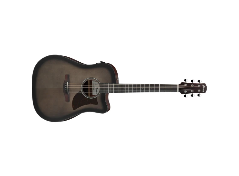 Ibanez AAD50CE-TCB 