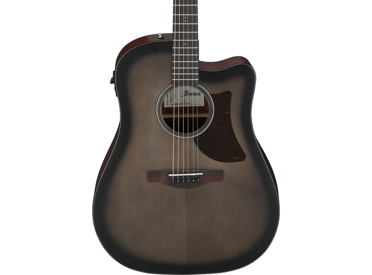 Ibanez AAD50CE-TCB 