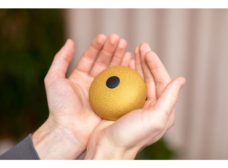 Meinl PSTD3GOM Pocket Steel Tongue Drum A Major, Gold 