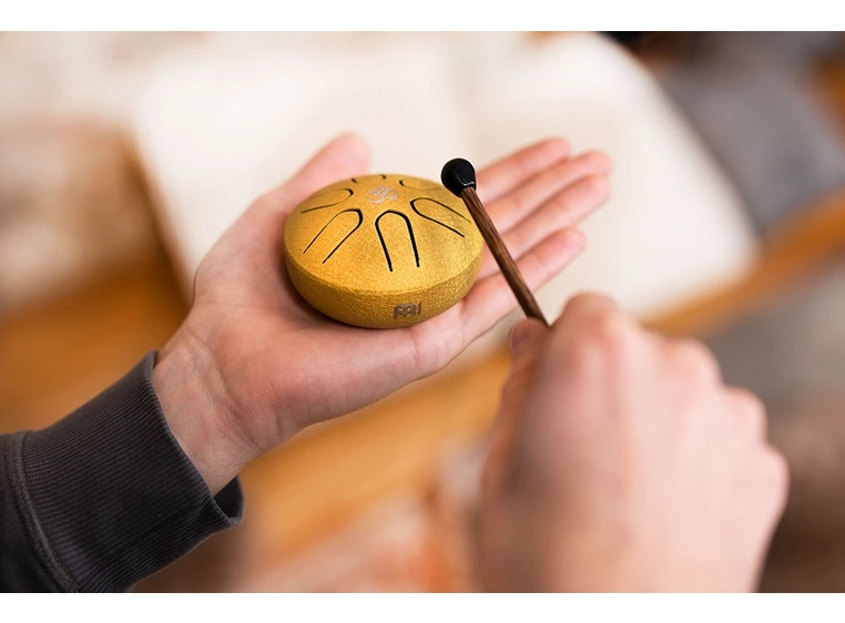 Meinl PSTD3GOM Pocket Steel Tongue Drum A Major, Gold 