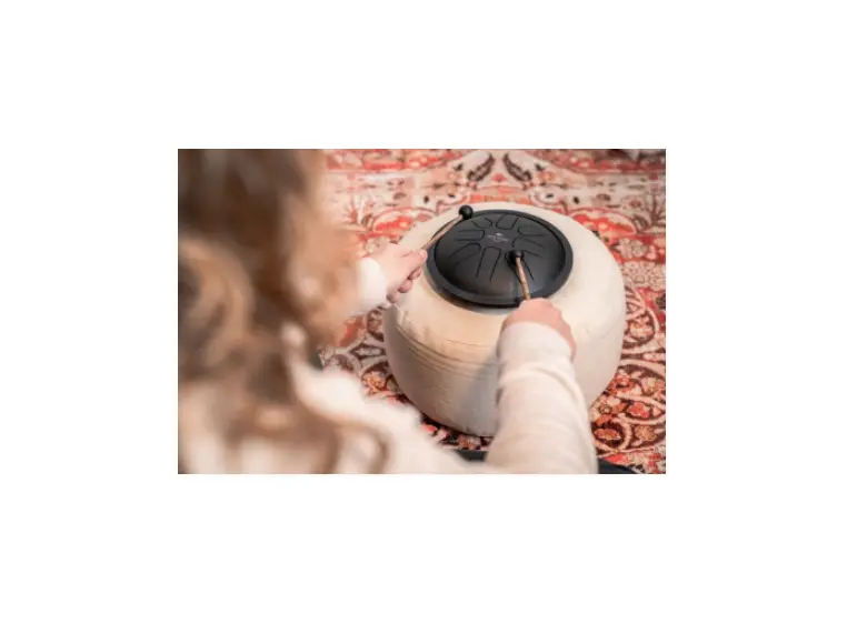 Meinl Sonic Energy SSTD1BK Small Steel Tongue Drum, F Minor, Black 