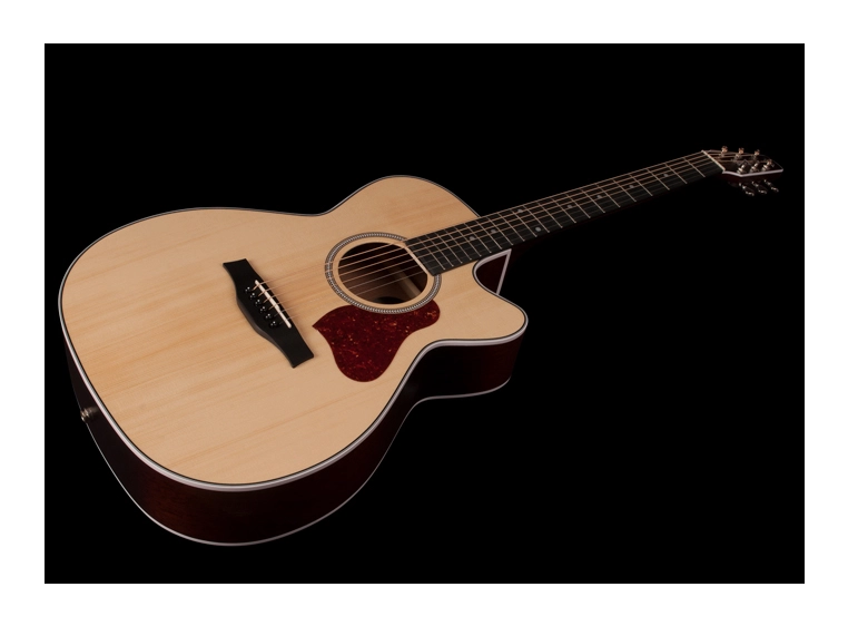 Seagull Maritime SWS CH CW Presys II 