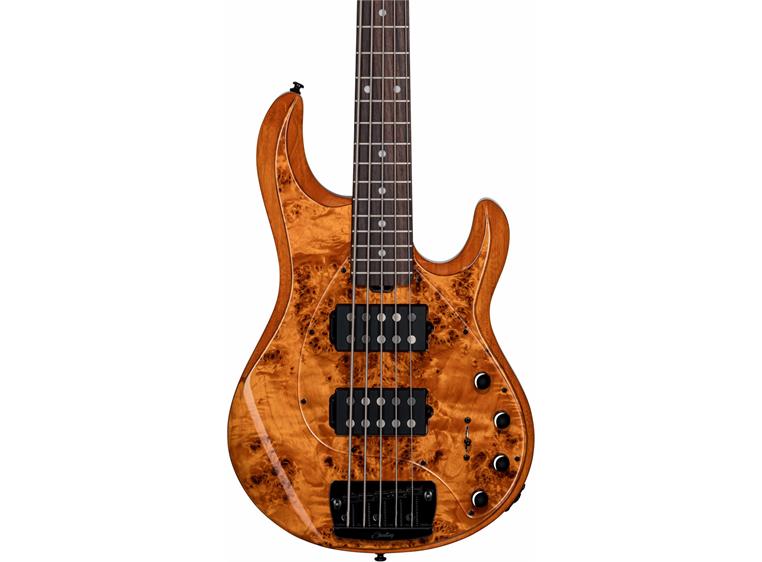 Sterling by Music Man RAY35 Amber (5-string)