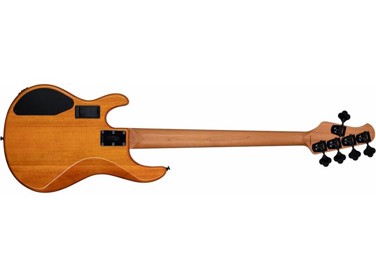 Sterling by Music Man RAY35 Amber (5-string)