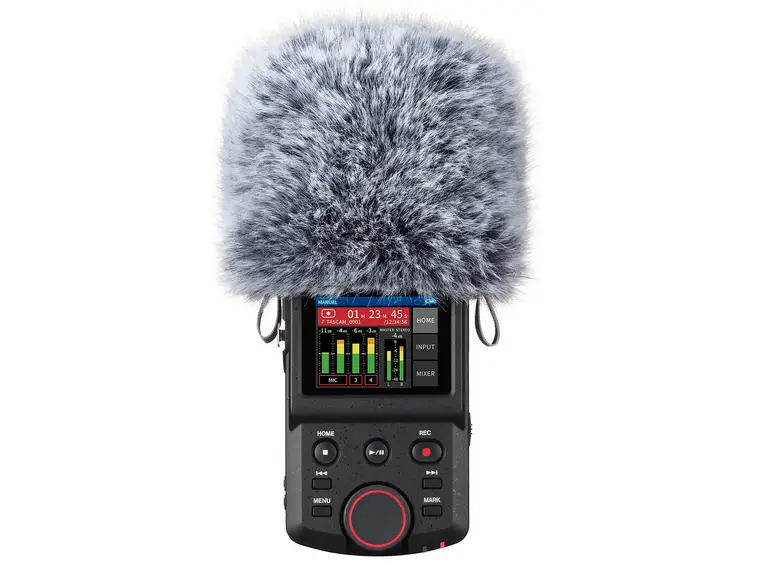 Tascam WS-86 