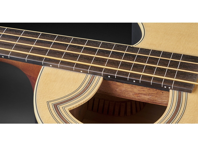 Warwick RockBass Alien Standard 4String,Fretless/Lines,Nat.Transp. Satin 