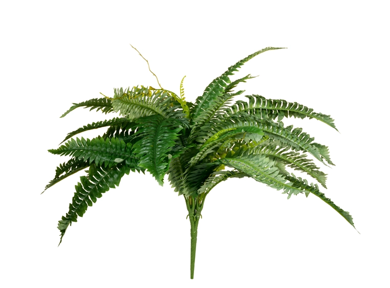 EUROPALMS Boston Fern, artificial plant 53cm 