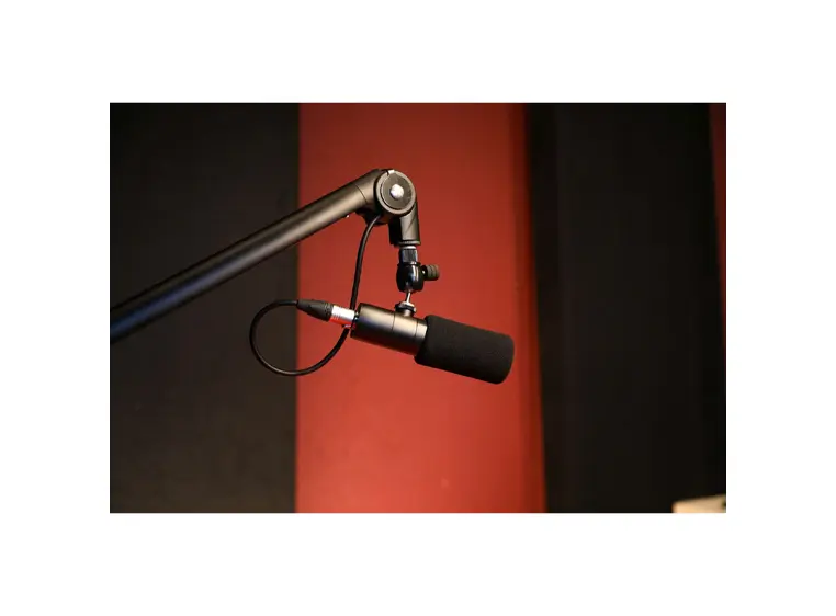 Earthworks Ethos - Black Medium-membran Superkardioide 