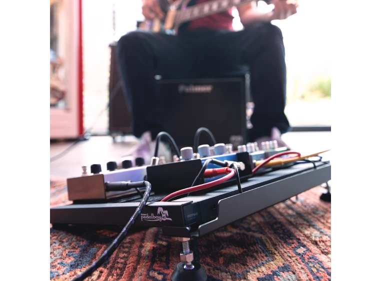 Palmer Pedalbay® 40 PB Pedalboard incl.WTPB40 Powerbar 