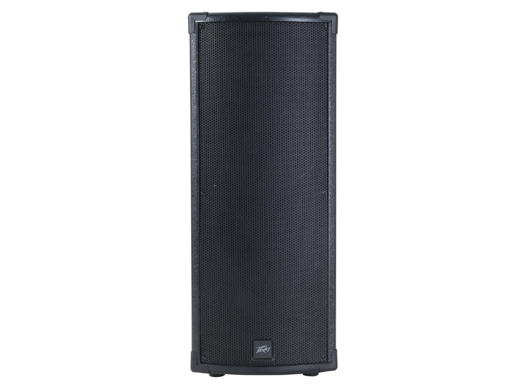 Peavey P1-BT Column Speaker 