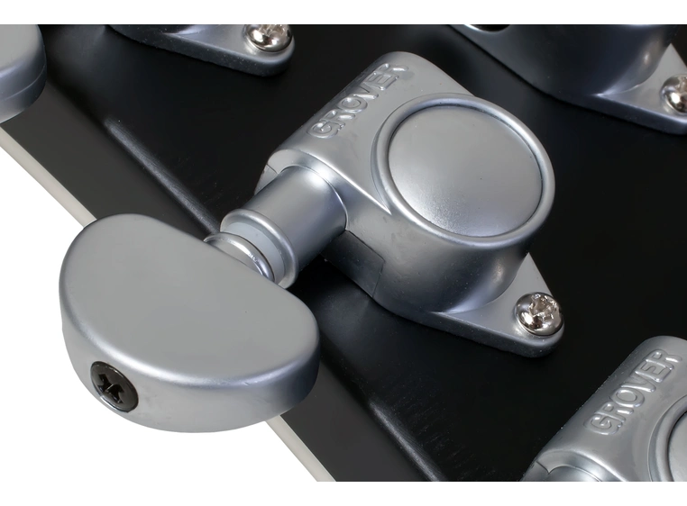 Schecter Damien Platinum-6 FR Satin Black (SBK) 