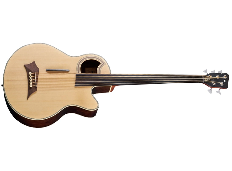 Warwick RockBass Alien Deluxe 5String, Fretless, Natural Transp.Satin 