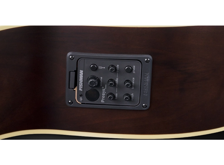 Warwick RockBass Alien Deluxe 5String, Fretless, Natural Transp.Satin 