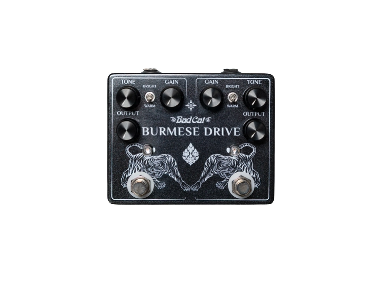 Bad Cat Burmese Drive Vintage Overdrive 