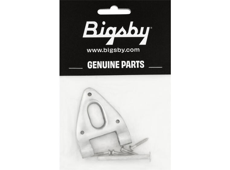 Bigsby Conventional Hinge w/Hinge Pin and Screws, Polished