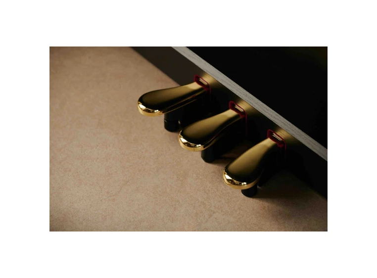 Casio AP-750 BK Smart Hybrid Celviano 