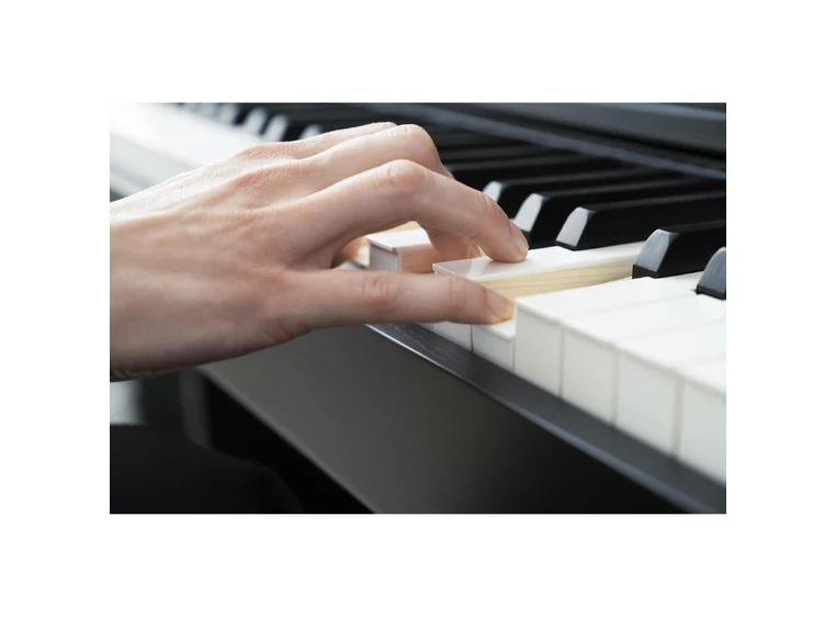 Casio AP-750 BK Smart Hybrid Celviano 