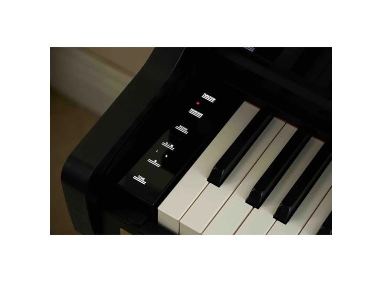Casio AP-750 BK Smart Hybrid Celviano 