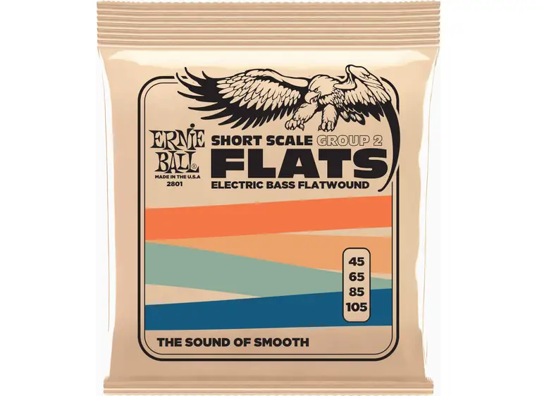 Ernie Ball 2801 Flatwound GR2 (045-105) Short Scale 