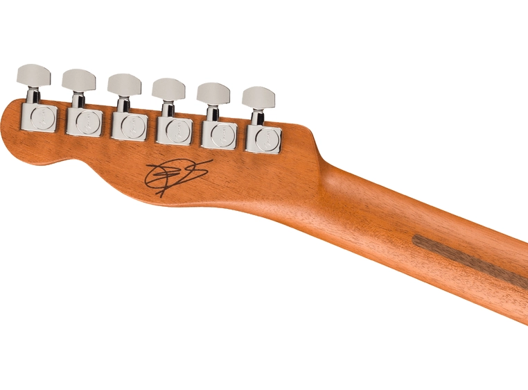 Fender FINNEAS Signature Acoustasonic Player Telecaster, RW 