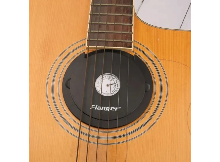 Flanger FH-10 guitar humidifier 