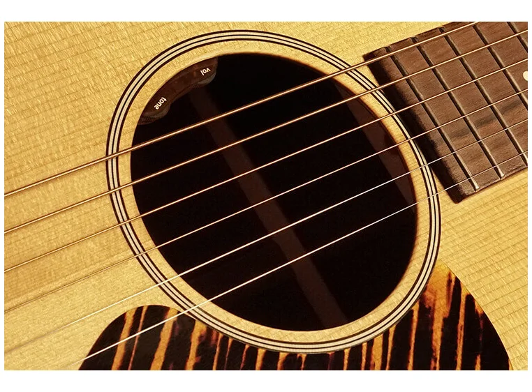 L.R.Baggs Element EAS VTC N (Classic) 