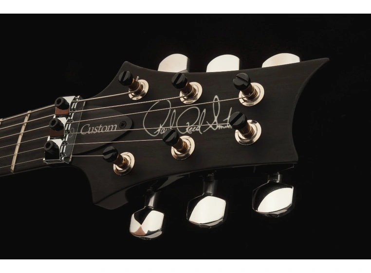 PRS Custom 24 Floyd CB Mahogany body/neck, maple top, RW 