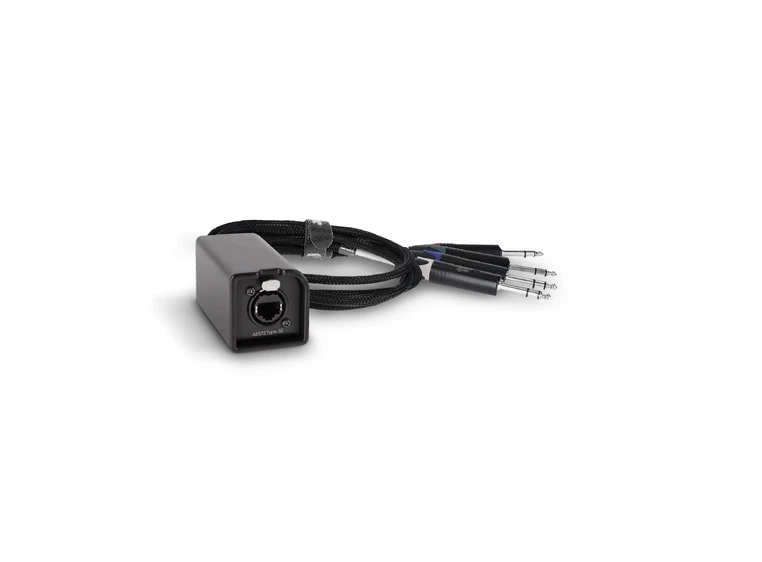 Palmer AoC Loom TRSm AOC from etherCON to 4 x 6.3 mm TRS jack 