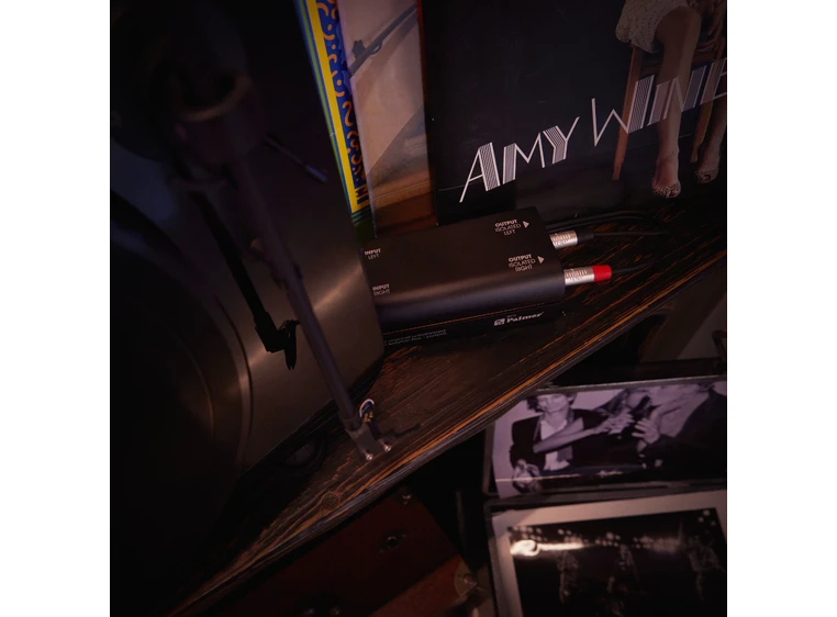 Palmer RIVER enz 2 Channel Unbalanced Line Isolation Box 