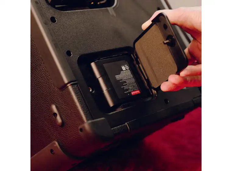 Positive Grid Spark Battery 