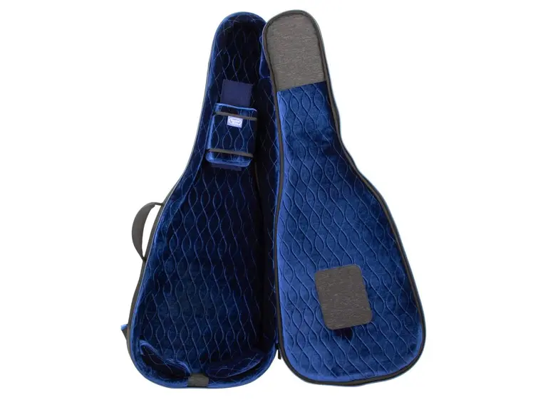 Reunion Blues Expedition Semi/Hollow Guitar Case 