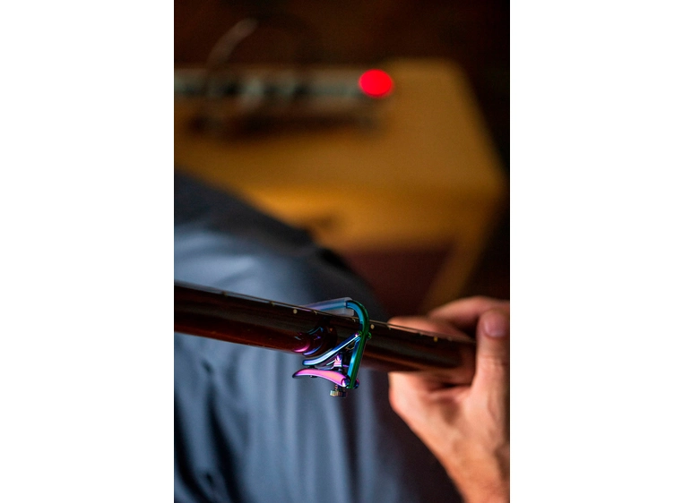 SHUBB C1p Paua Pearl 