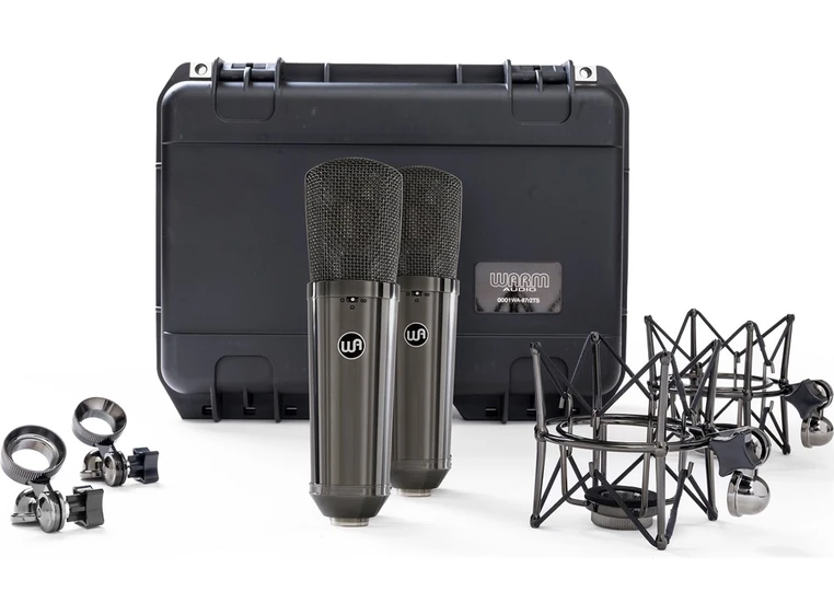 Warm Audio WA-87 R2 Titanium Stereo Pair 
