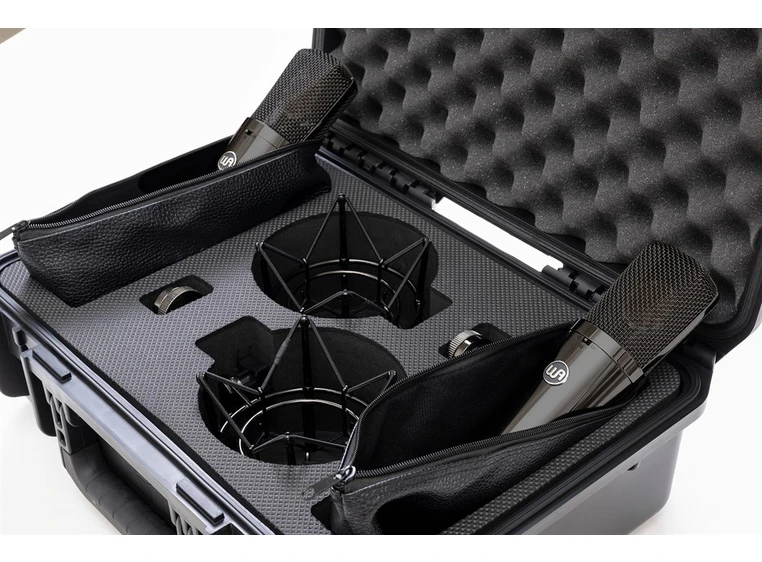 Warm Audio WA-87 R2 Titanium Stereo Pair 